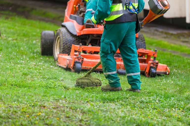 Seasonal yard cleanup service