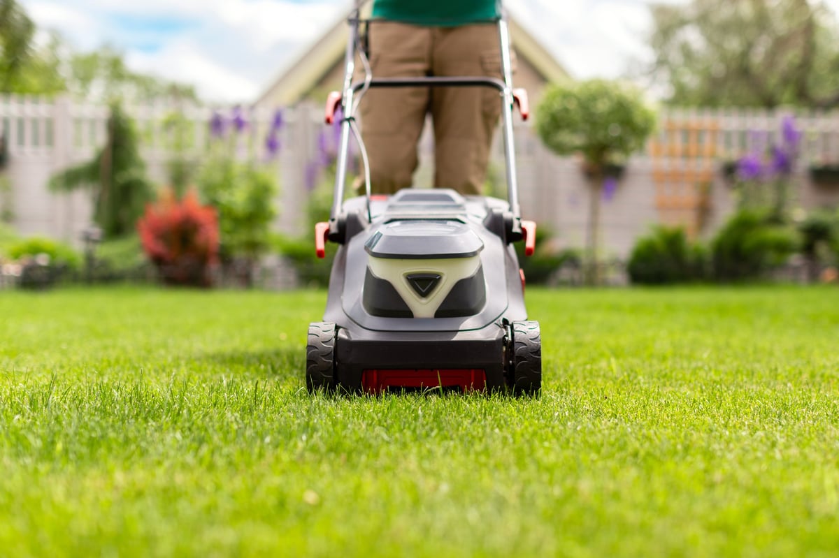 Professional lawn care team at work