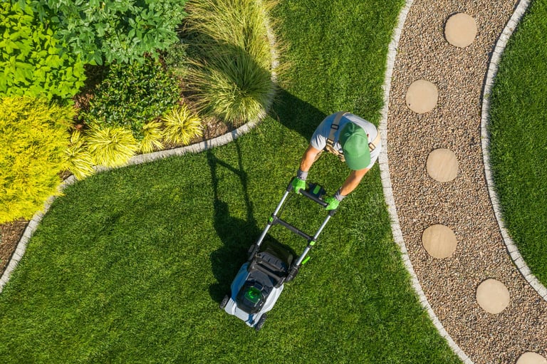 Professional lawn mowing service