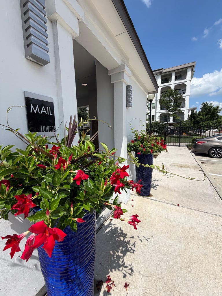 Modern white building entrance with red flowers in blue planters, MAIL signage, and gated property on sunny day